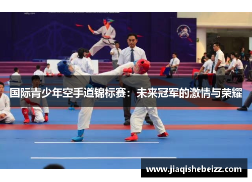国际青少年空手道锦标赛:未来冠军的激情与荣耀 国际青少年空手道锦标赛:未来冠军的激情与荣耀